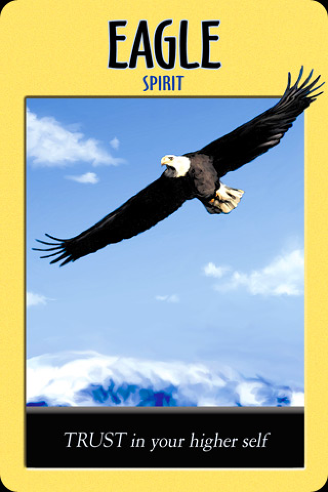 Eagle ~ Spirit, from the Power Animal Oracle Card deck, by Stephen D Farmer