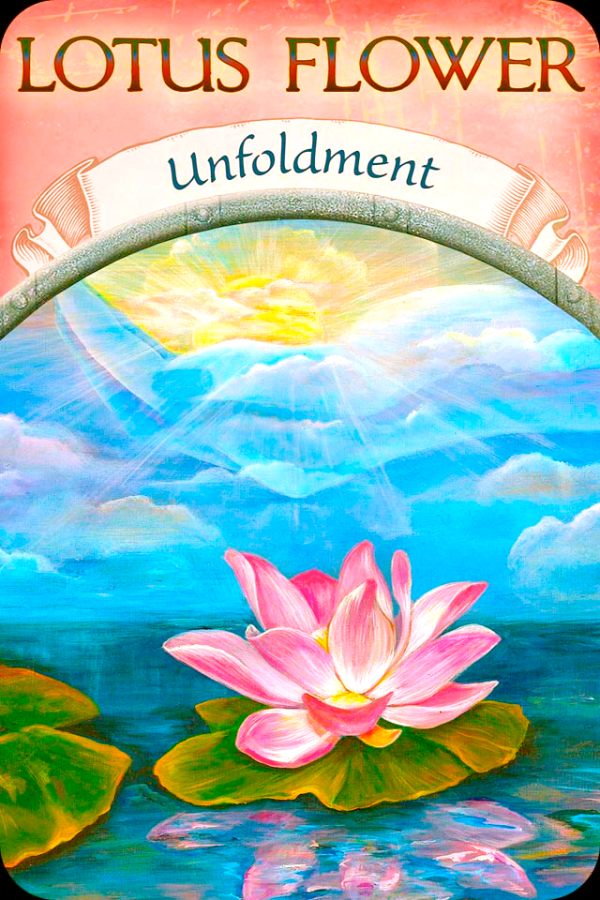 Lotus Flower ~ Unfoldment, from the Earth Magic Oracle Card deck, by Stephen D Farmer