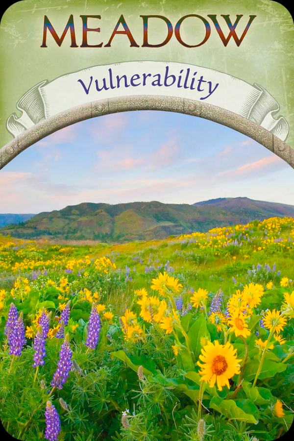 Meadow ~ Vulnerability, from the Earth Magic Oracle Card deck, by Stephen D Farmer