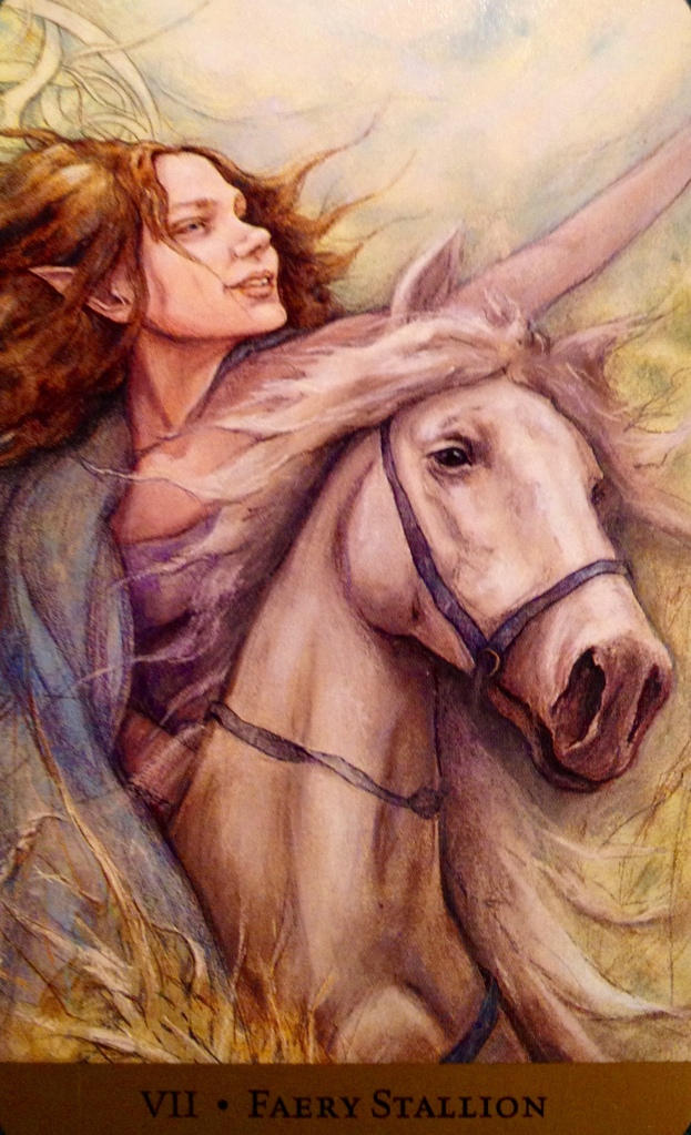Faery Stallion, from the Tarot Of The Hidden Realm, by Julia Jeffrey and Barbara Moore