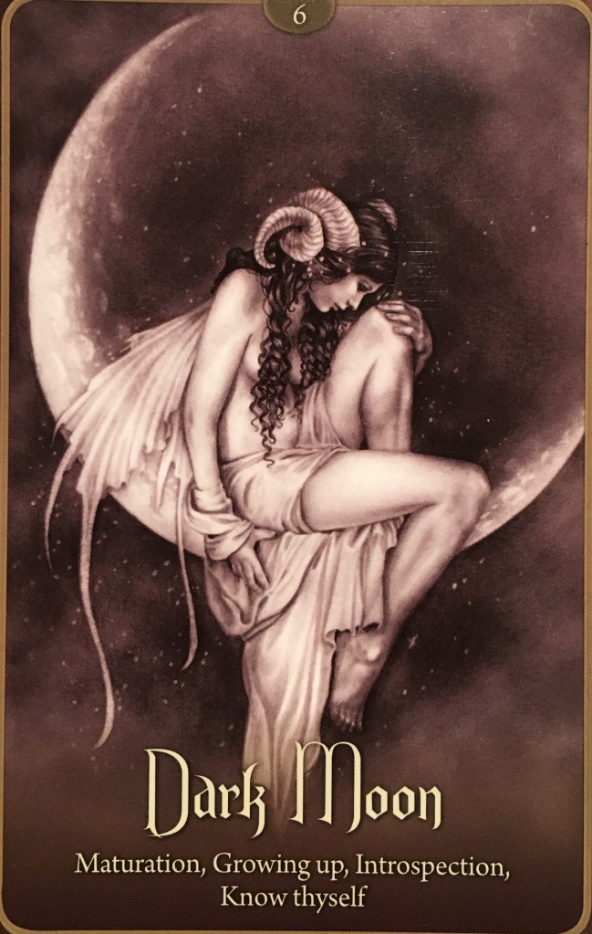 Dark Moon, from the Wild Wisdom Of The Faery Oracle, by Lucy Cavendish 